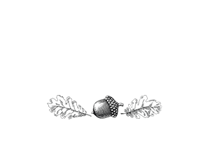 BASTA Logo